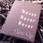 HCG Diet Tips and Motivation weight loss motivation
